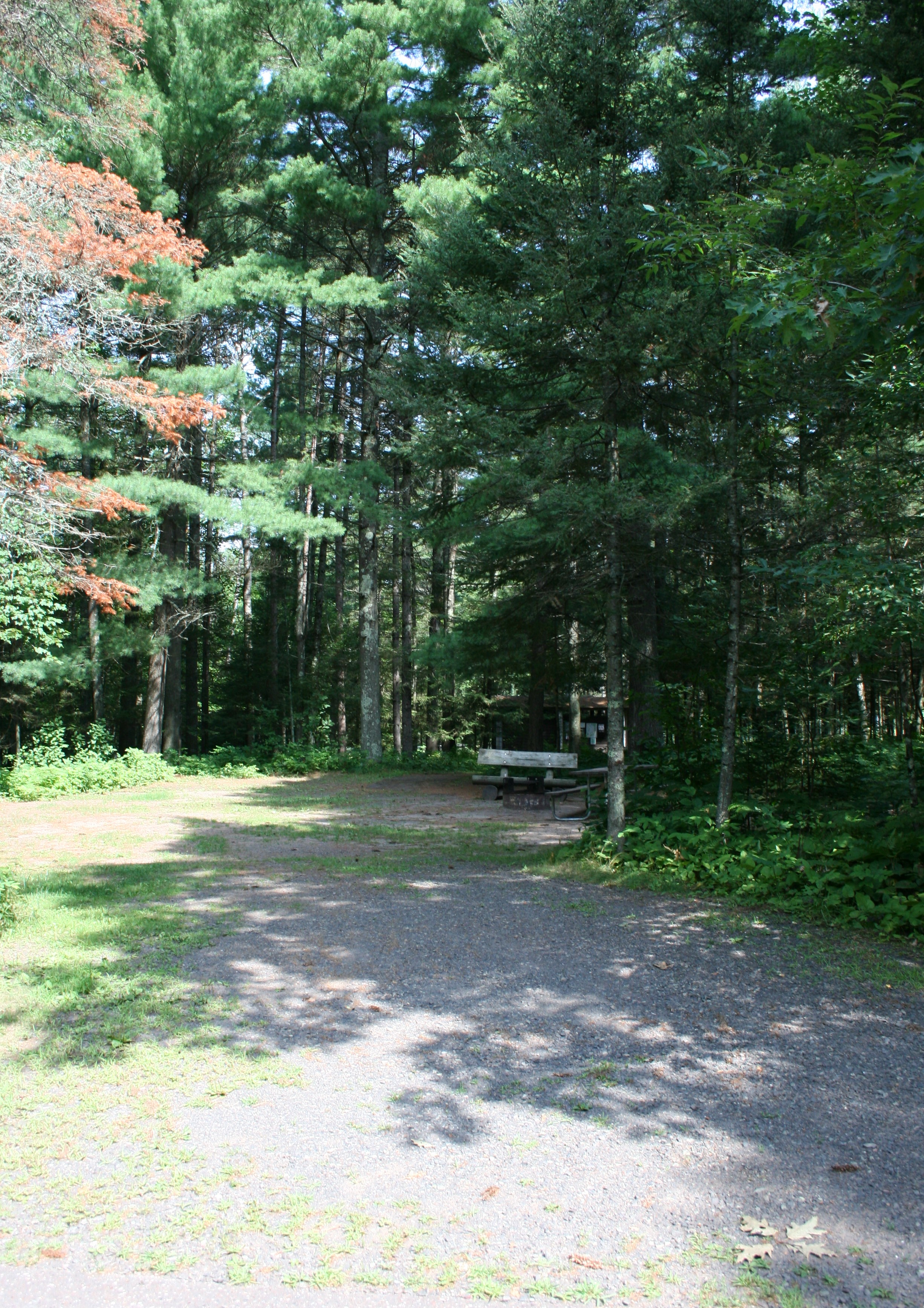 Site 39, photo 2 of 3 · from wisconsin.goingtocamp.com (the park's booking system)
