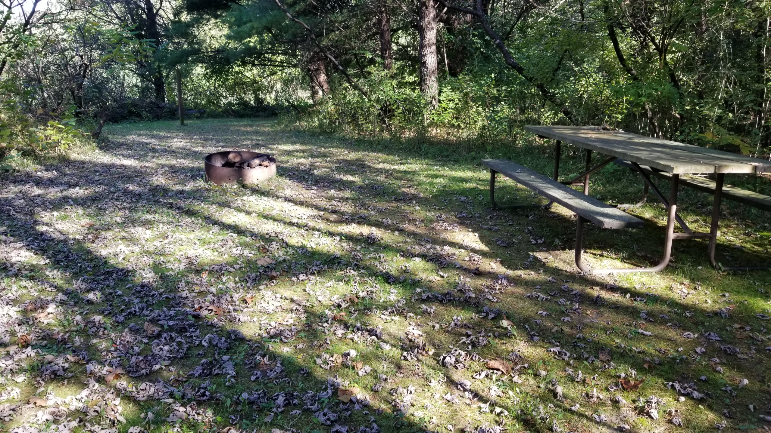 Site 6, photo 2 of 2 · from wisconsin.goingtocamp.com (the park's booking system)