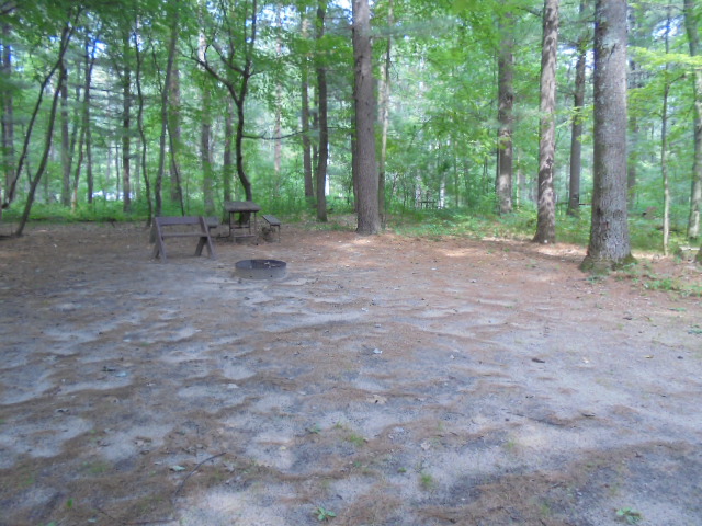 Site 24, photo 2 of 4 · from wisconsin.goingtocamp.com (the park's booking system)