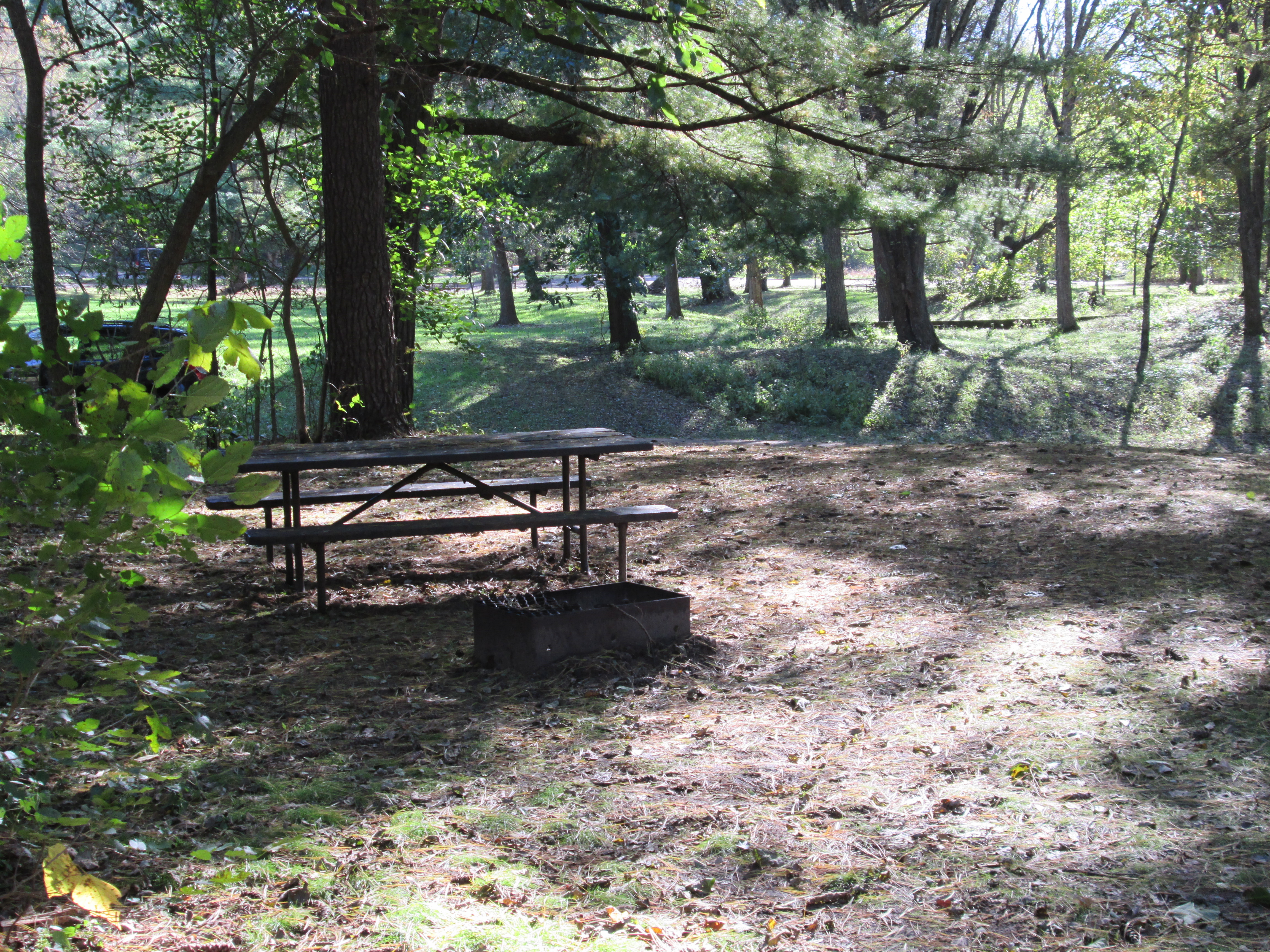 Site 2, photo 3 of 4 · from wisconsin.goingtocamp.com (the park's booking system)