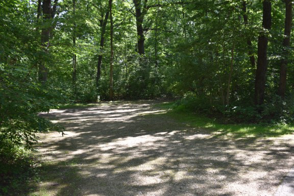 Site 24, photo 2 of 4 · from wisconsin.goingtocamp.com (the park's booking system)