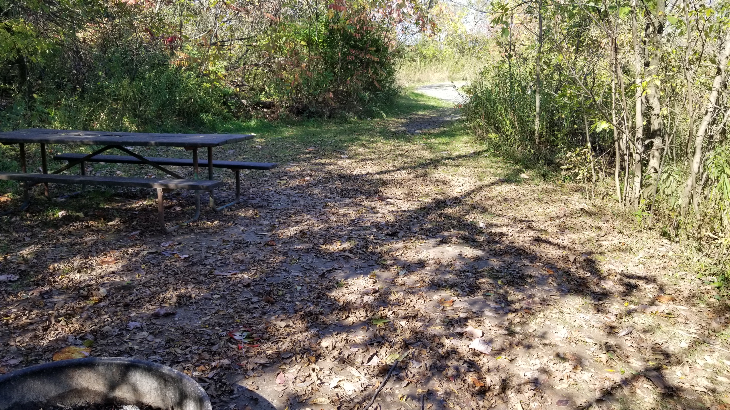Site 115, photo 3 of 3 · from wisconsin.goingtocamp.com (the park's booking system)