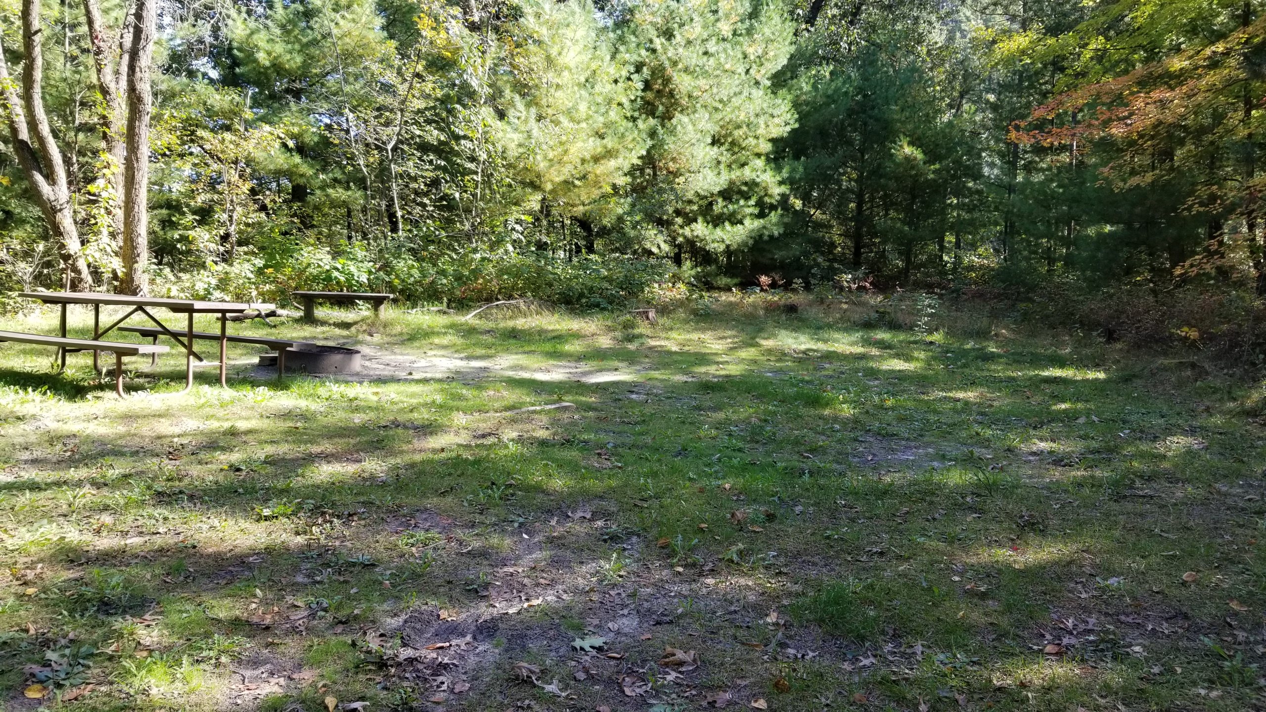 Site 8, photo 3 of 4 · from wisconsin.goingtocamp.com (the park's booking system)