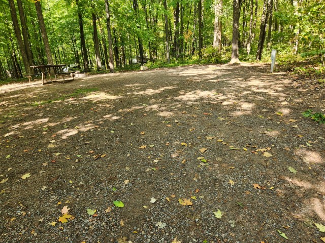 Site 32, photo 3 of 3 · from wisconsin.goingtocamp.com (the park's booking system)