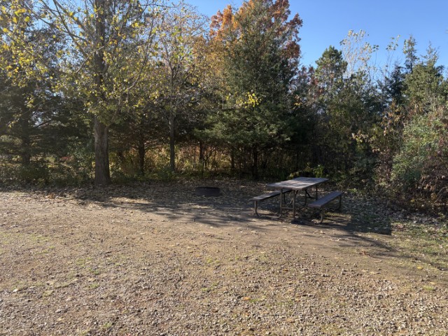 Site 215, photo 2 of 2 · from wisconsin.goingtocamp.com (the park's booking system)