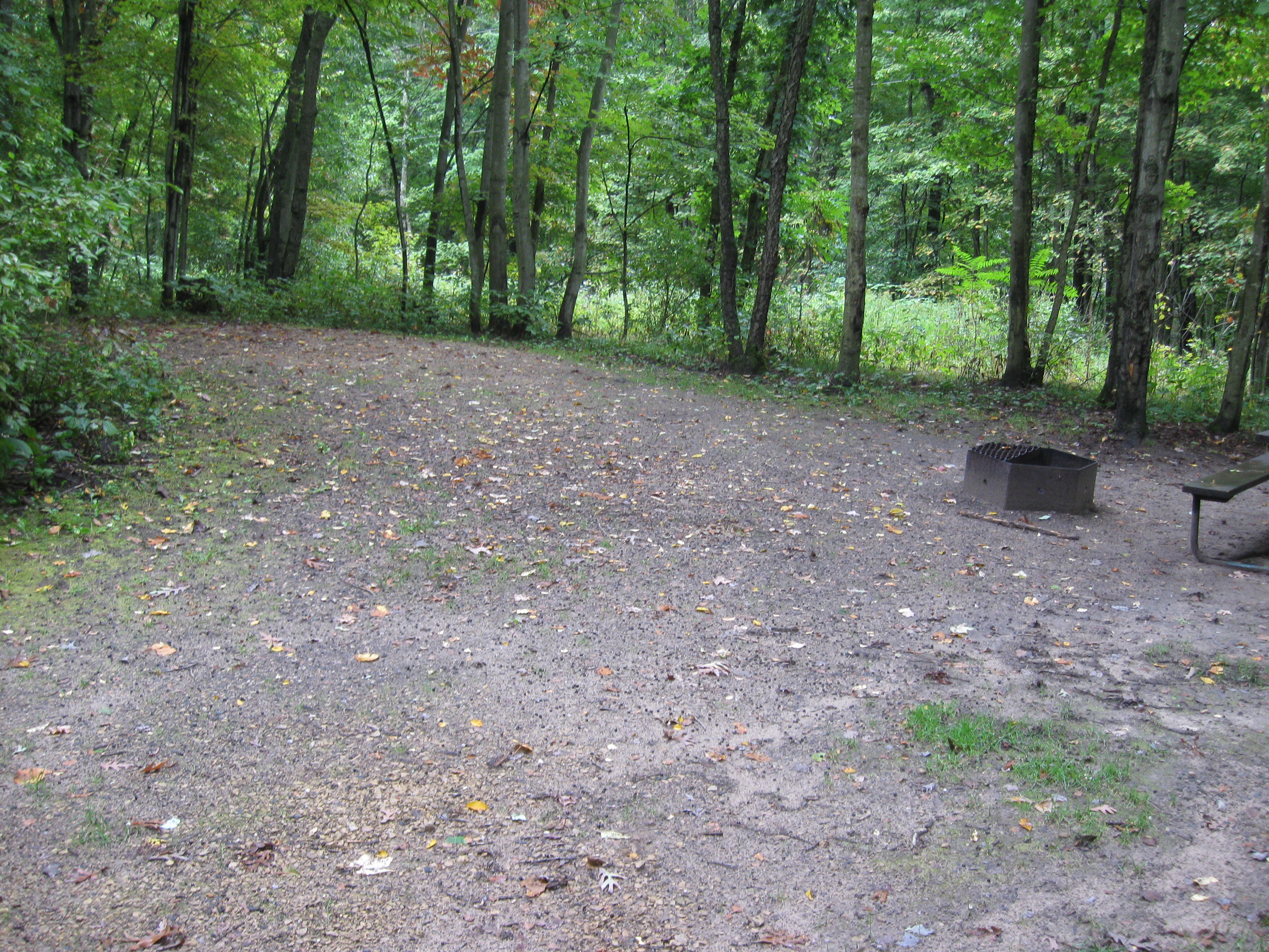 Site 89, photo 2 of 2 · from wisconsin.goingtocamp.com (the park's booking system)