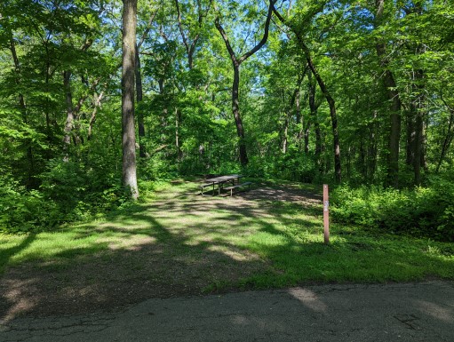 Site 10, photo 2 of 3 · from wisconsin.goingtocamp.com (the park's booking system)