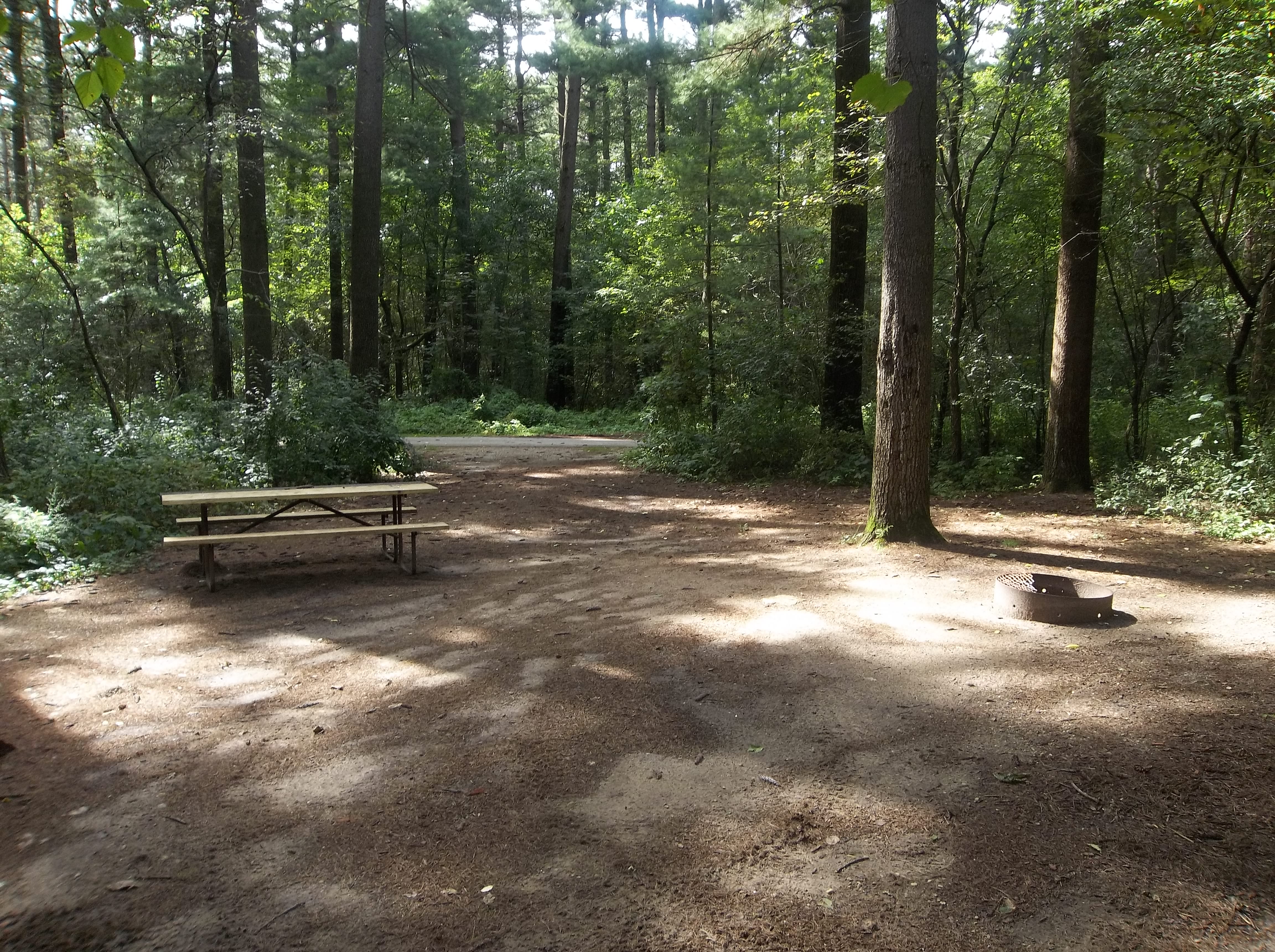 Site 269, photo 2 of 6 · from wisconsin.goingtocamp.com (the park's booking system)