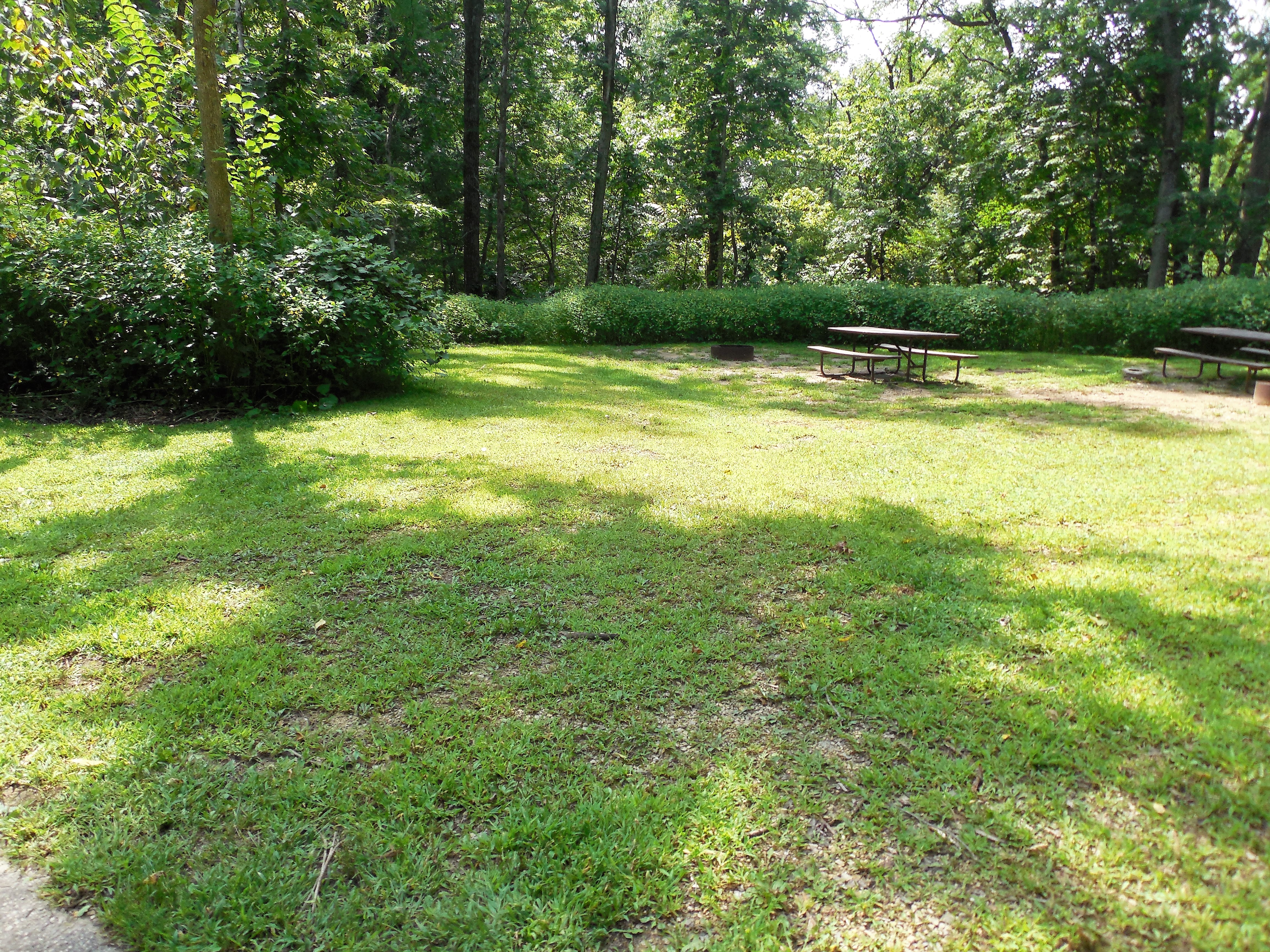Site 4, photo 2 of 3 · from wisconsin.goingtocamp.com (the park's booking system)