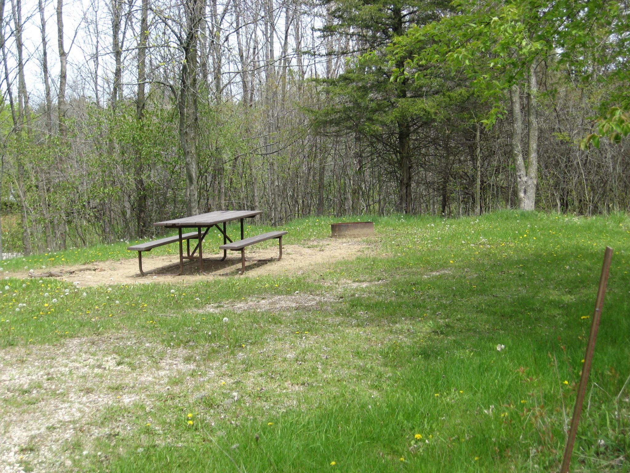 Site 848, photo 2 of 2 · from wisconsin.goingtocamp.com (the park's booking system)