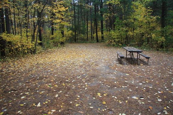 Site 480, photo 2 of 2 · from wisconsin.goingtocamp.com (the park's booking system)