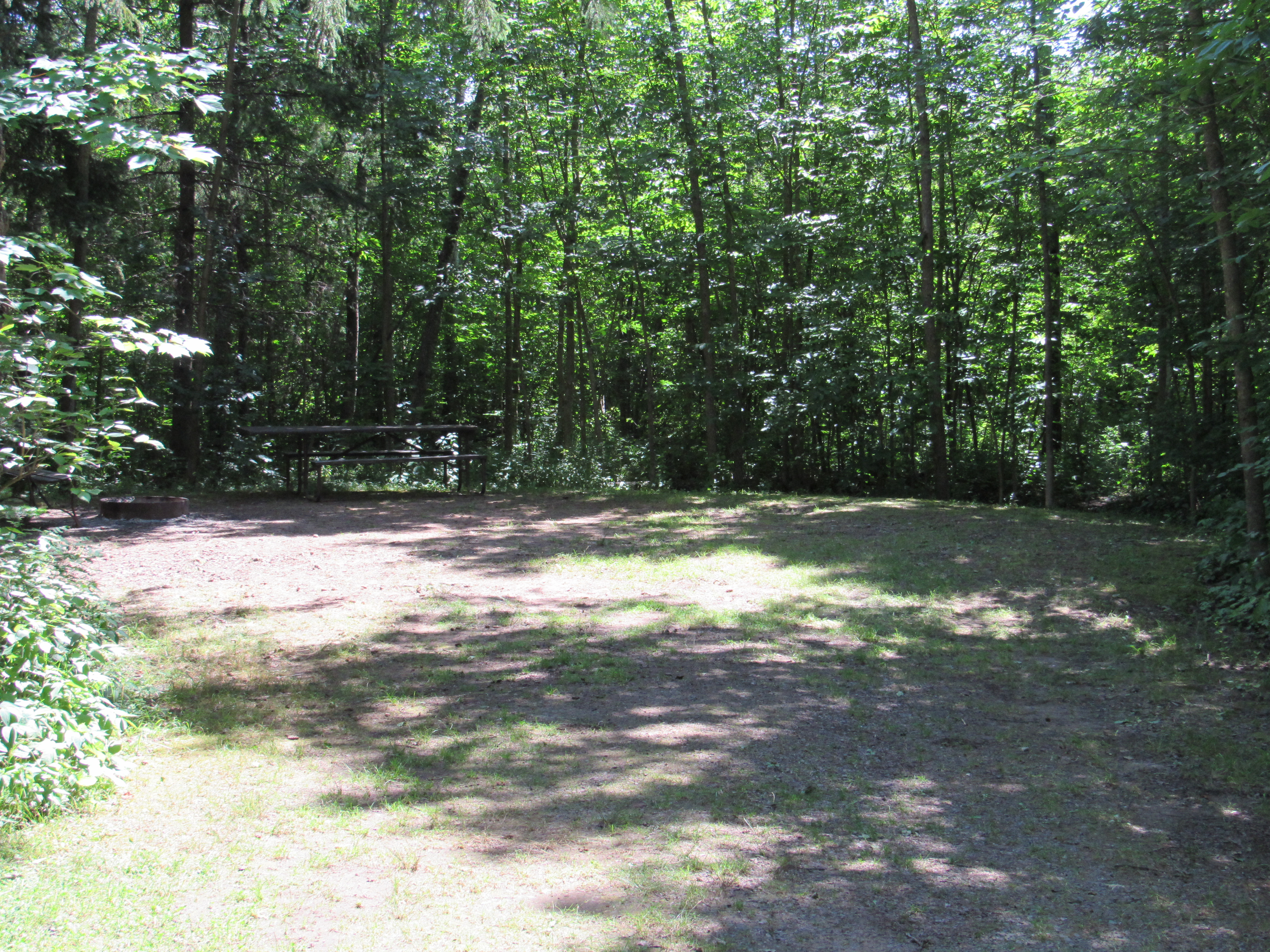 Site 5, photo 2 of 3 · from wisconsin.goingtocamp.com (the park's booking system)