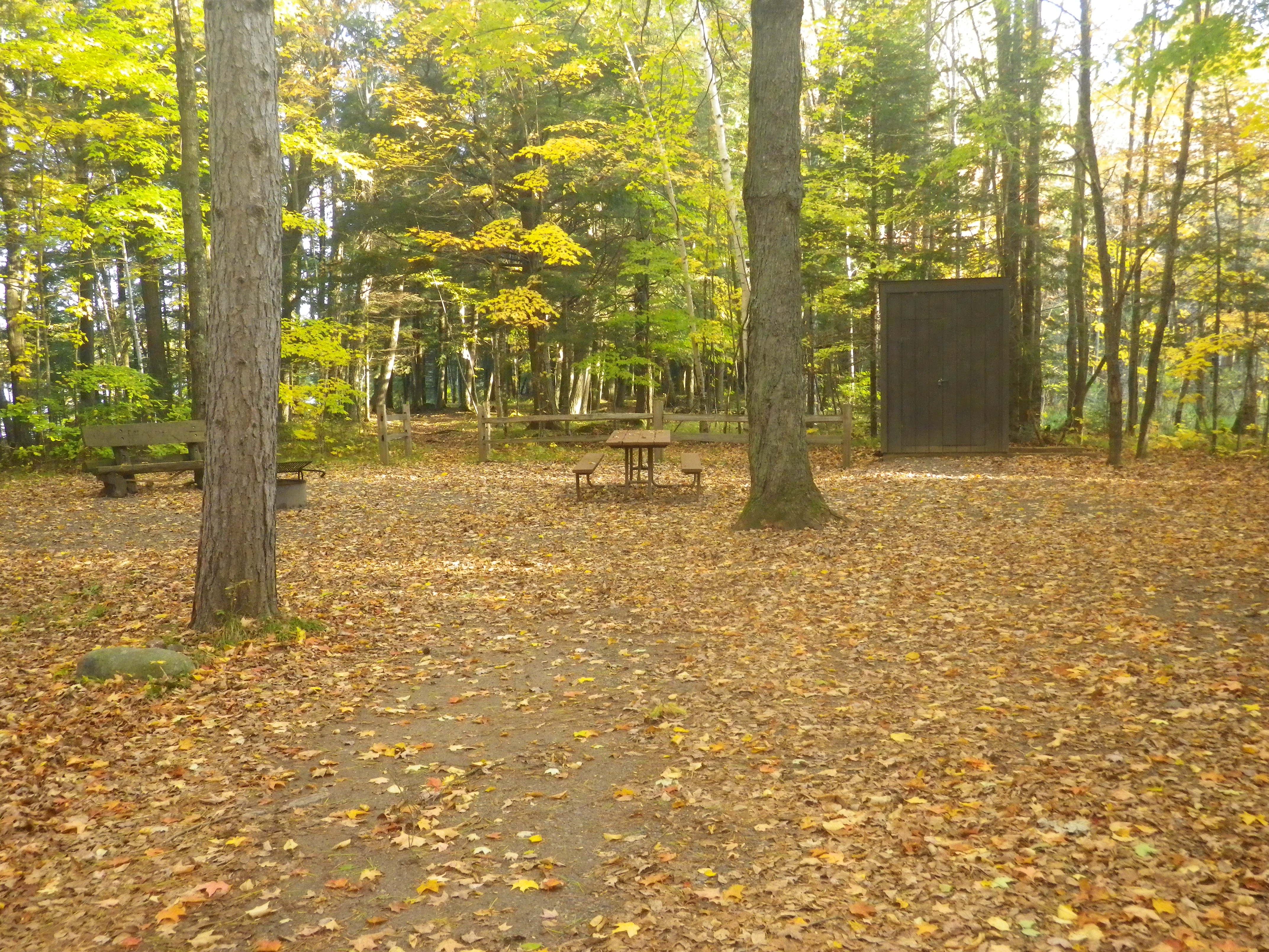 Site 10, photo 2 of 3 · from wisconsin.goingtocamp.com (the park's booking system)