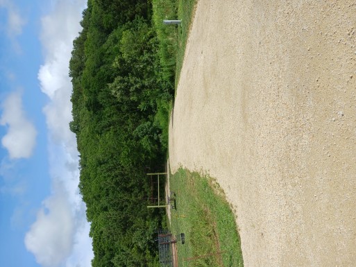 Site 753, photo 2 of 3 · from wisconsin.goingtocamp.com (the park's booking system)