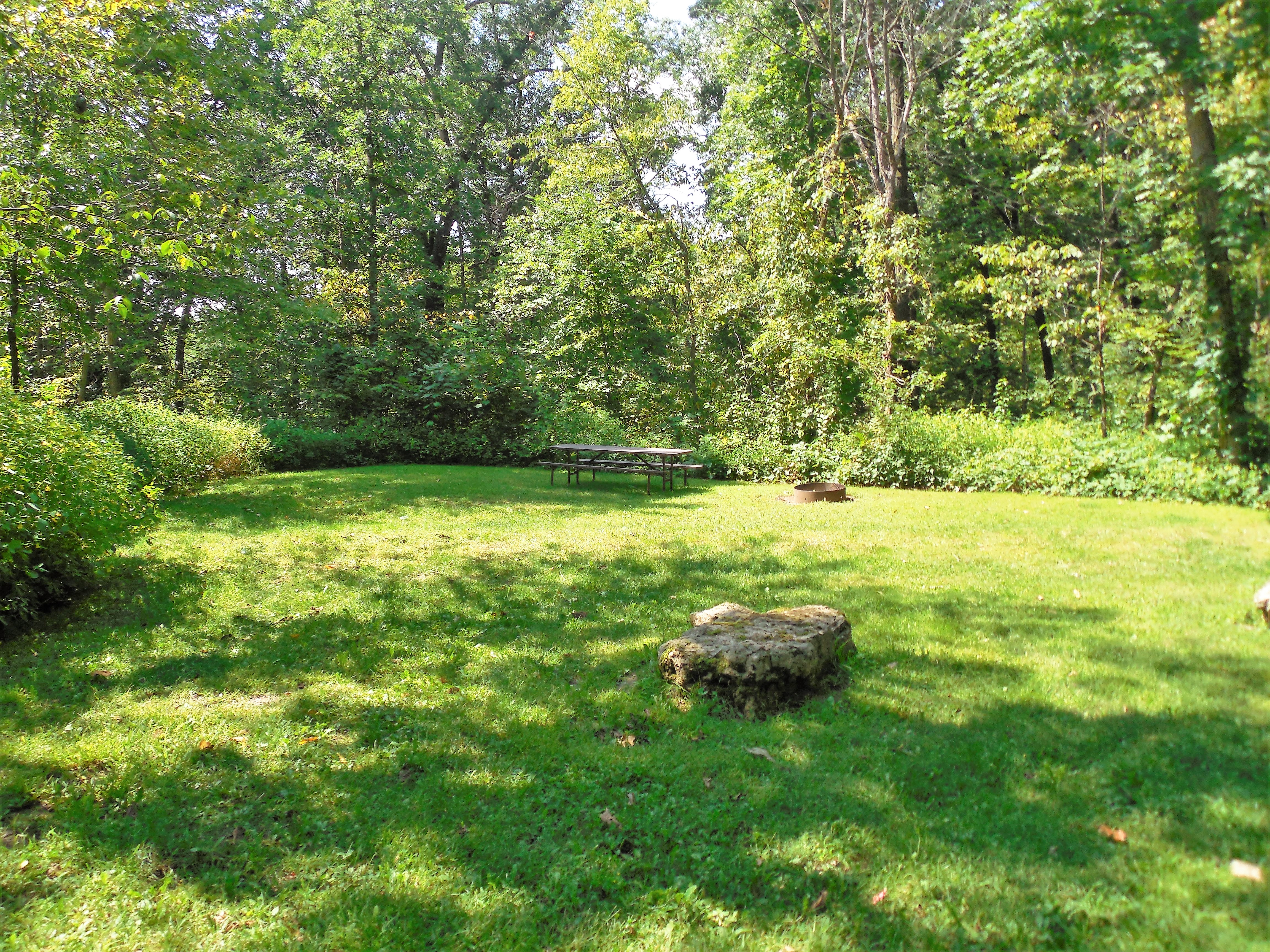 Site 1, photo 2 of 3 · from wisconsin.goingtocamp.com (the park's booking system)