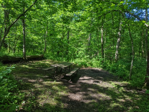 Site 30, photo 3 of 3 · from wisconsin.goingtocamp.com (the park's booking system)