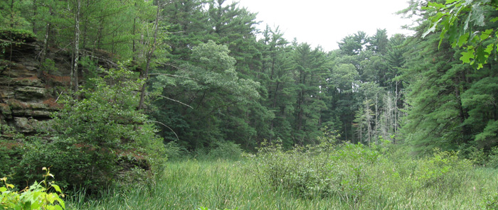Rocky Arbor State Park
