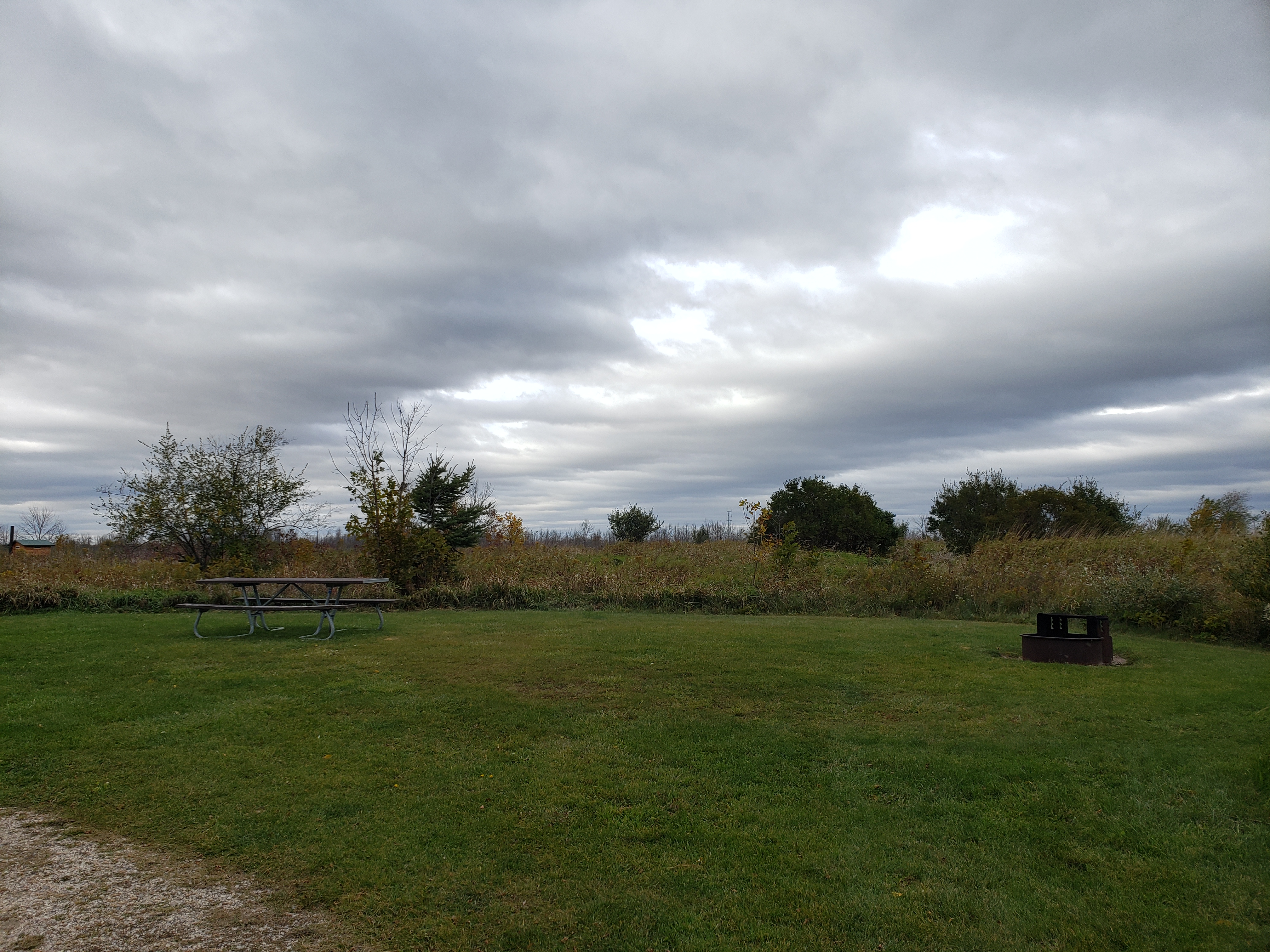 Site 205, photo 2 of 2 · from wisconsin.goingtocamp.com (the park's booking system)