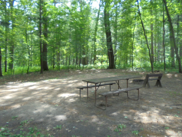 Site 19, photo 2 of 4 · from wisconsin.goingtocamp.com (the park's booking system)