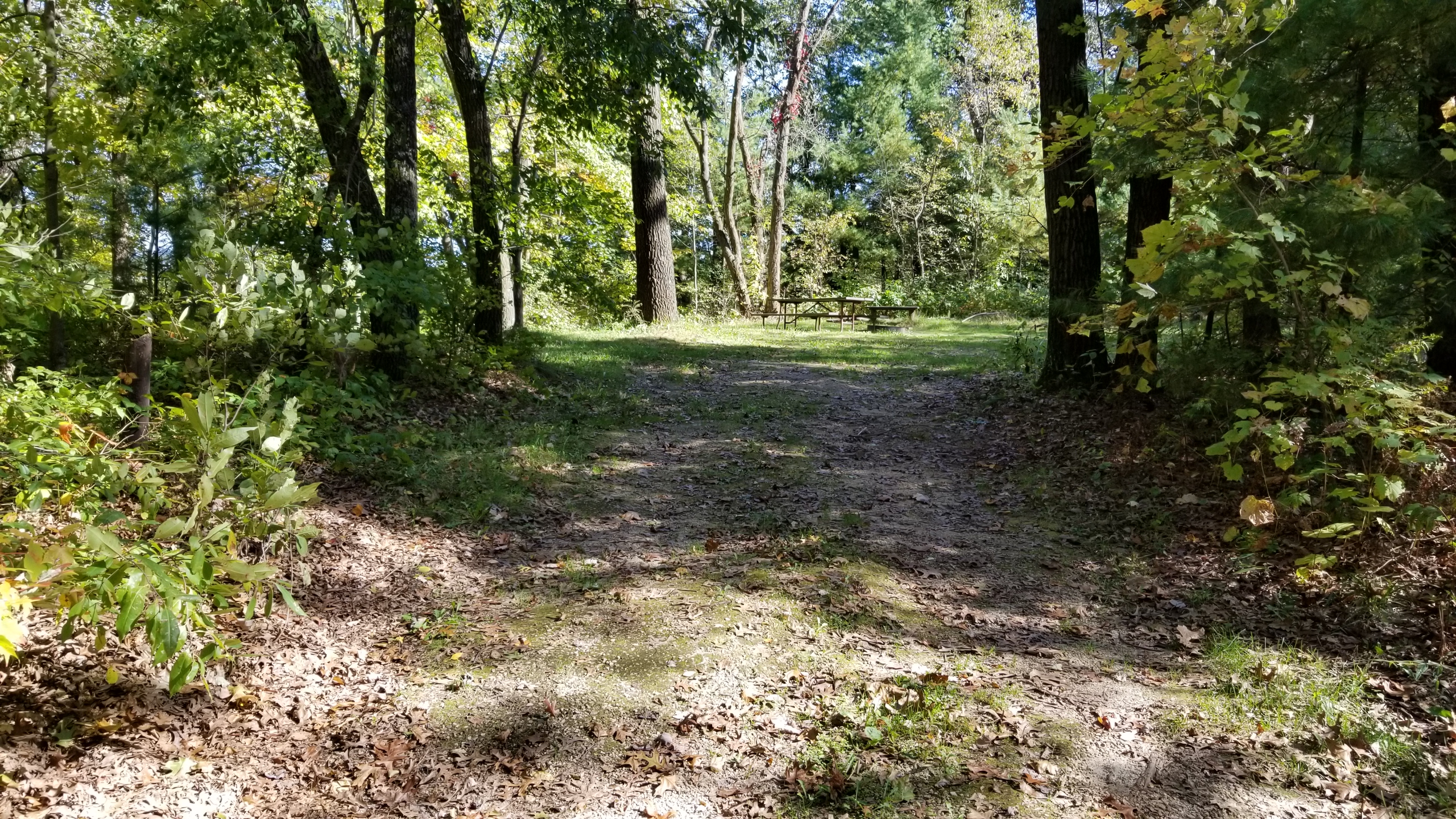 Site 8, photo 2 of 4 · from wisconsin.goingtocamp.com (the park's booking system)
