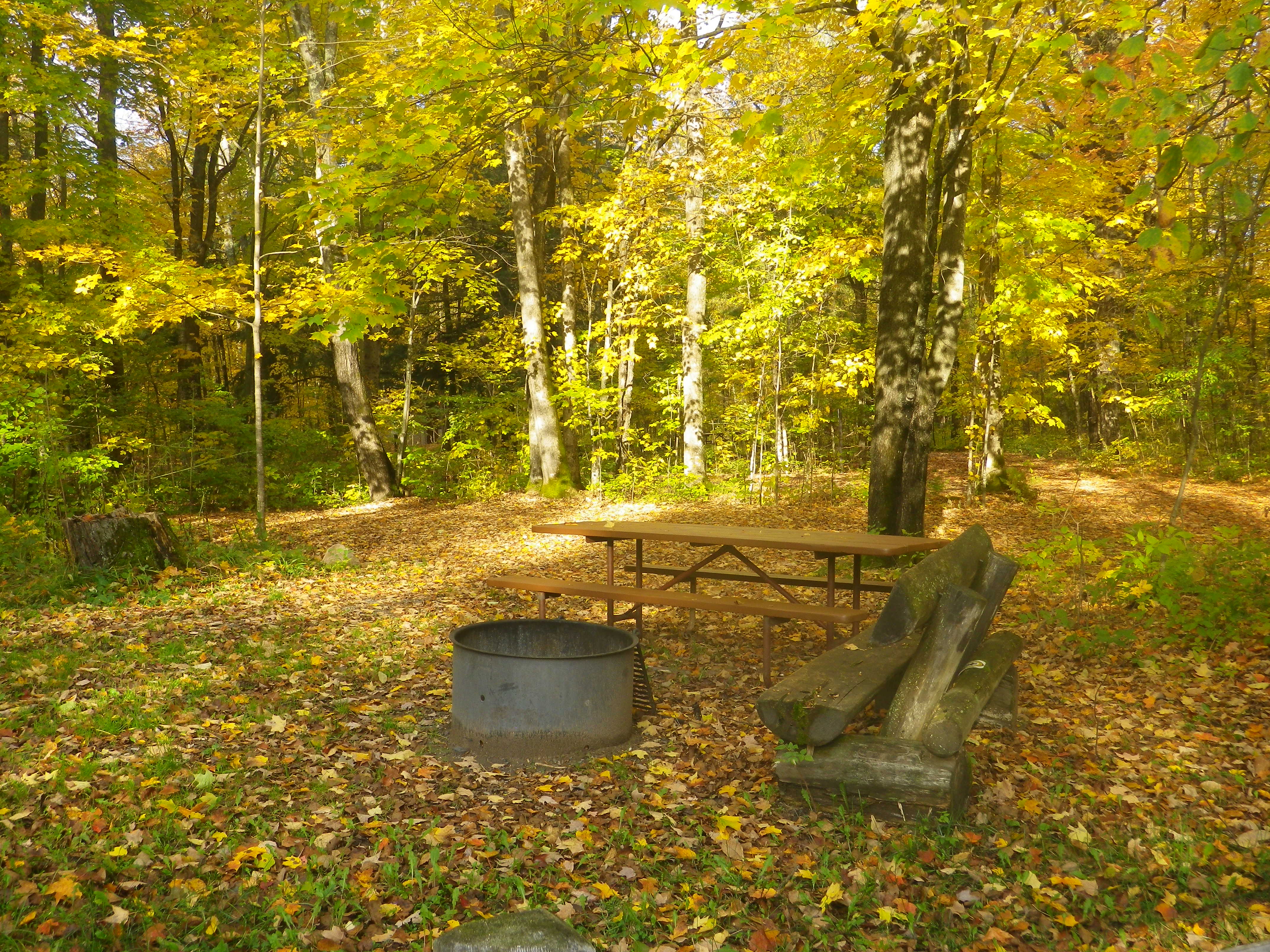 Site 30, photo 3 of 3 · from wisconsin.goingtocamp.com (the park's booking system)