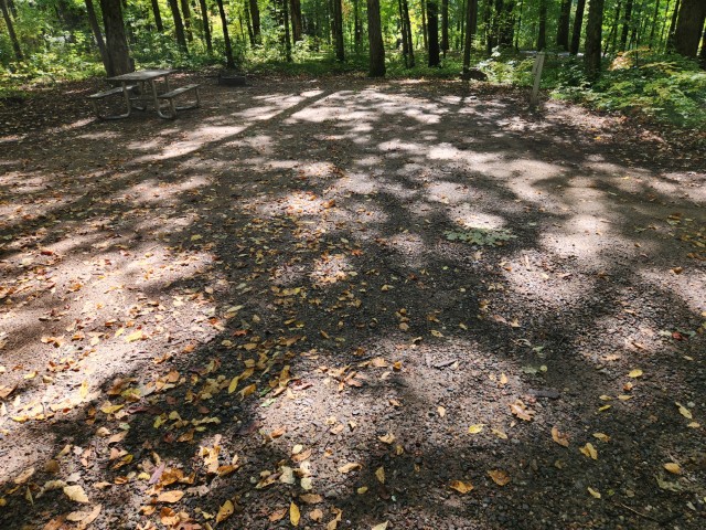 Site 18, photo 3 of 3 · from wisconsin.goingtocamp.com (the park's booking system)