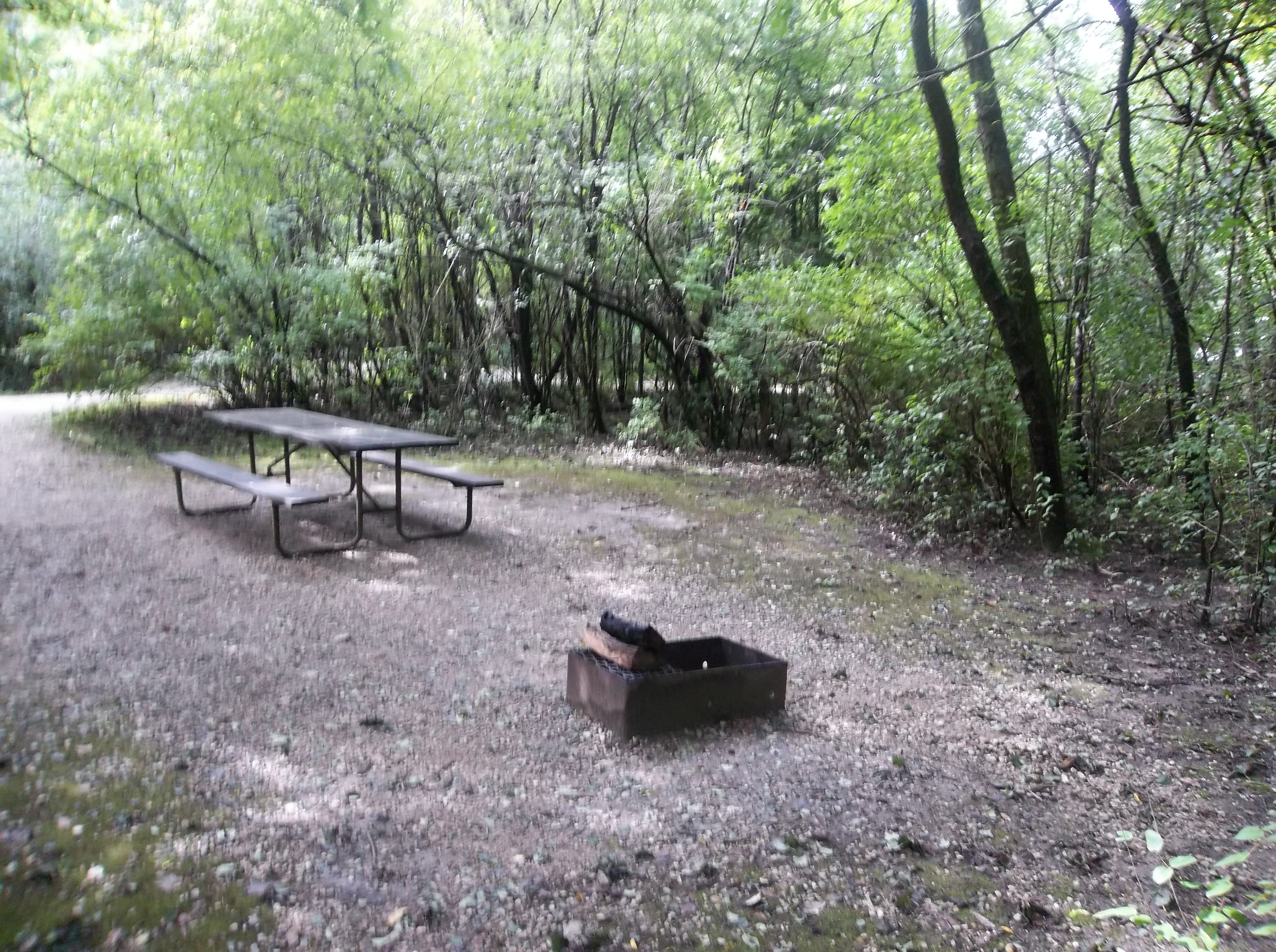 Site 9, photo 2 of 2 · from wisconsin.goingtocamp.com (the park's booking system)