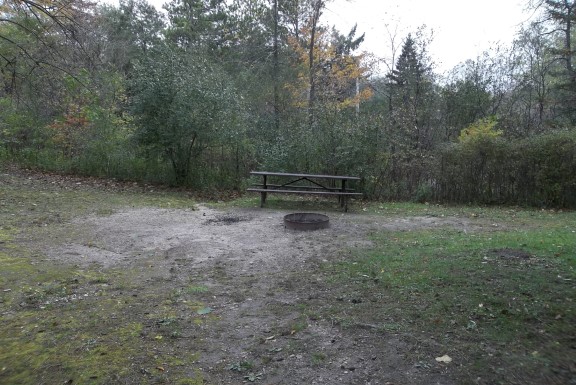 Site 303, photo 2 of 3 · from wisconsin.goingtocamp.com (the park's booking system)