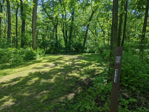 Site 11, photo 2 of 3 · from wisconsin.goingtocamp.com (the park's booking system)
