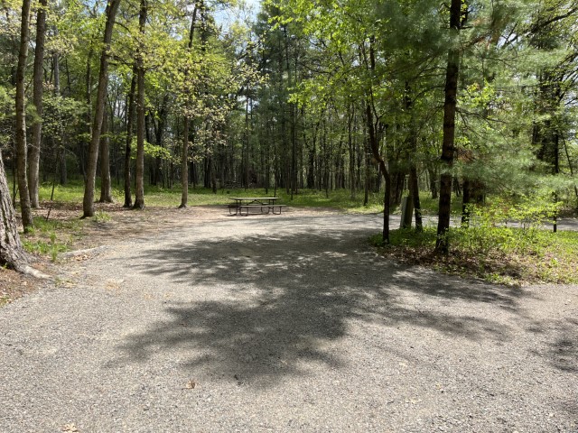 Site 15, photo 2 of 3 · from wisconsin.goingtocamp.com (the park's booking system)