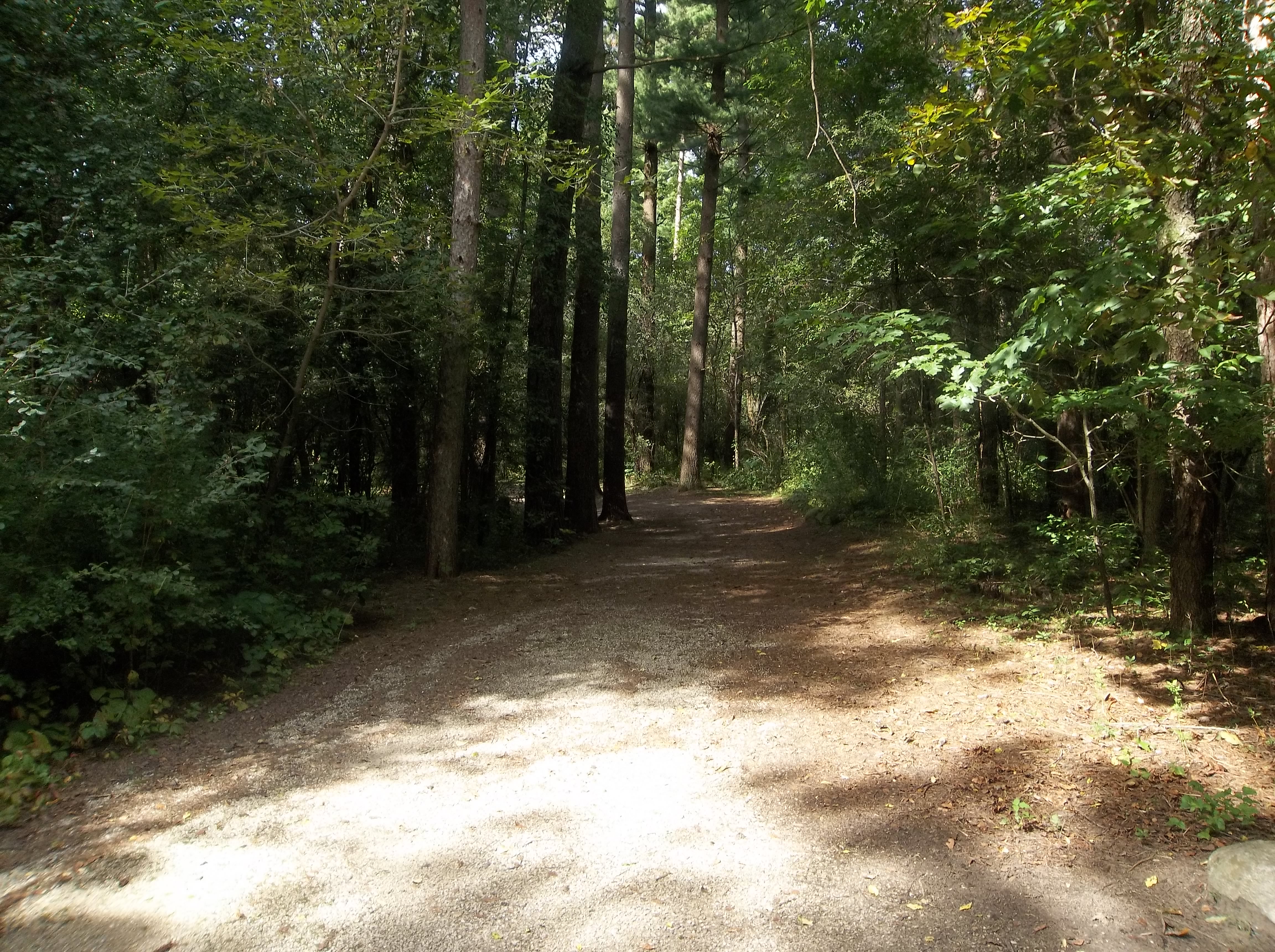 Site 266, photo 2 of 3 · from wisconsin.goingtocamp.com (the park's booking system)