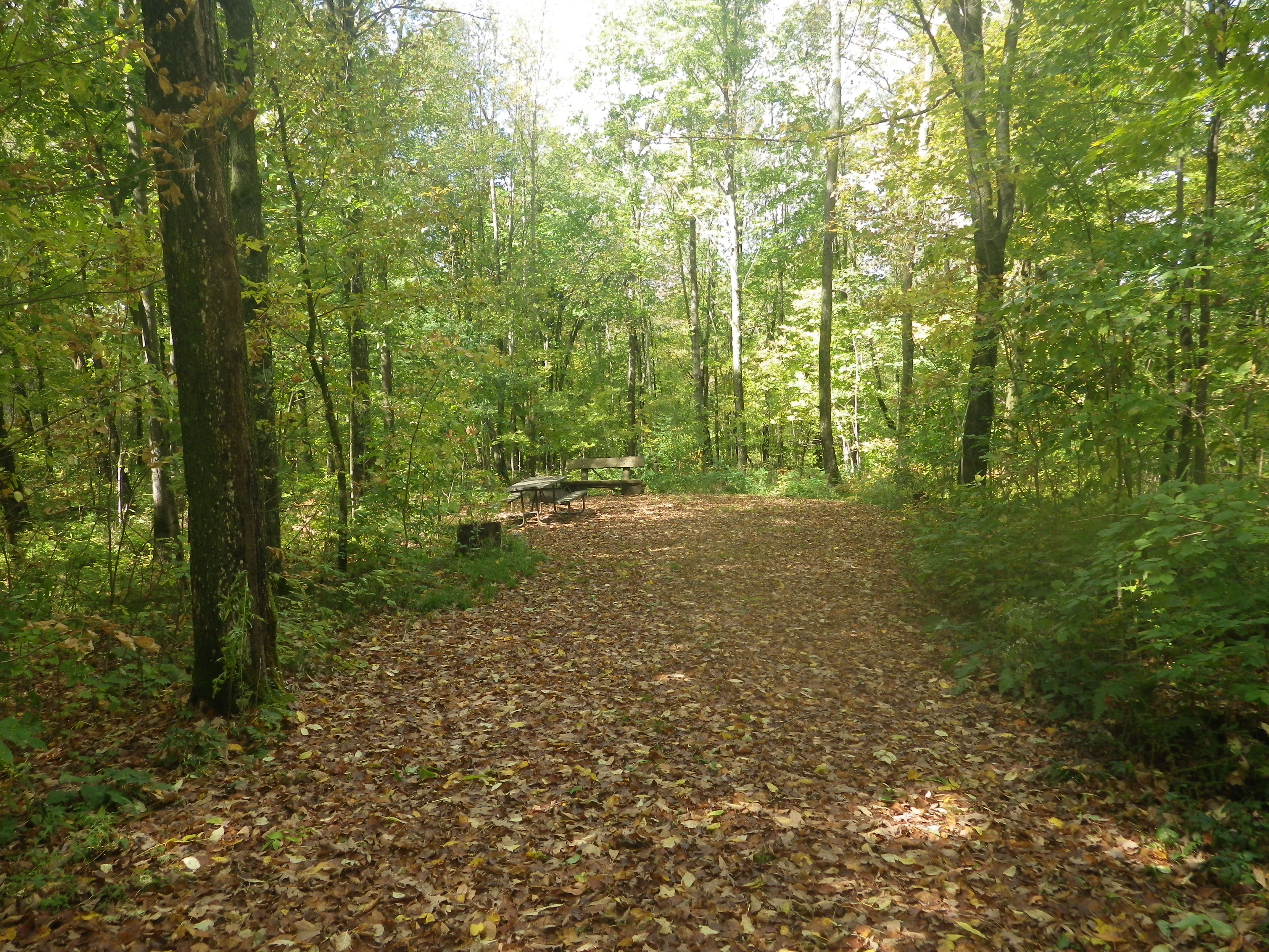 Site 130, photo 2 of 3 · from wisconsin.goingtocamp.com (the park's booking system)