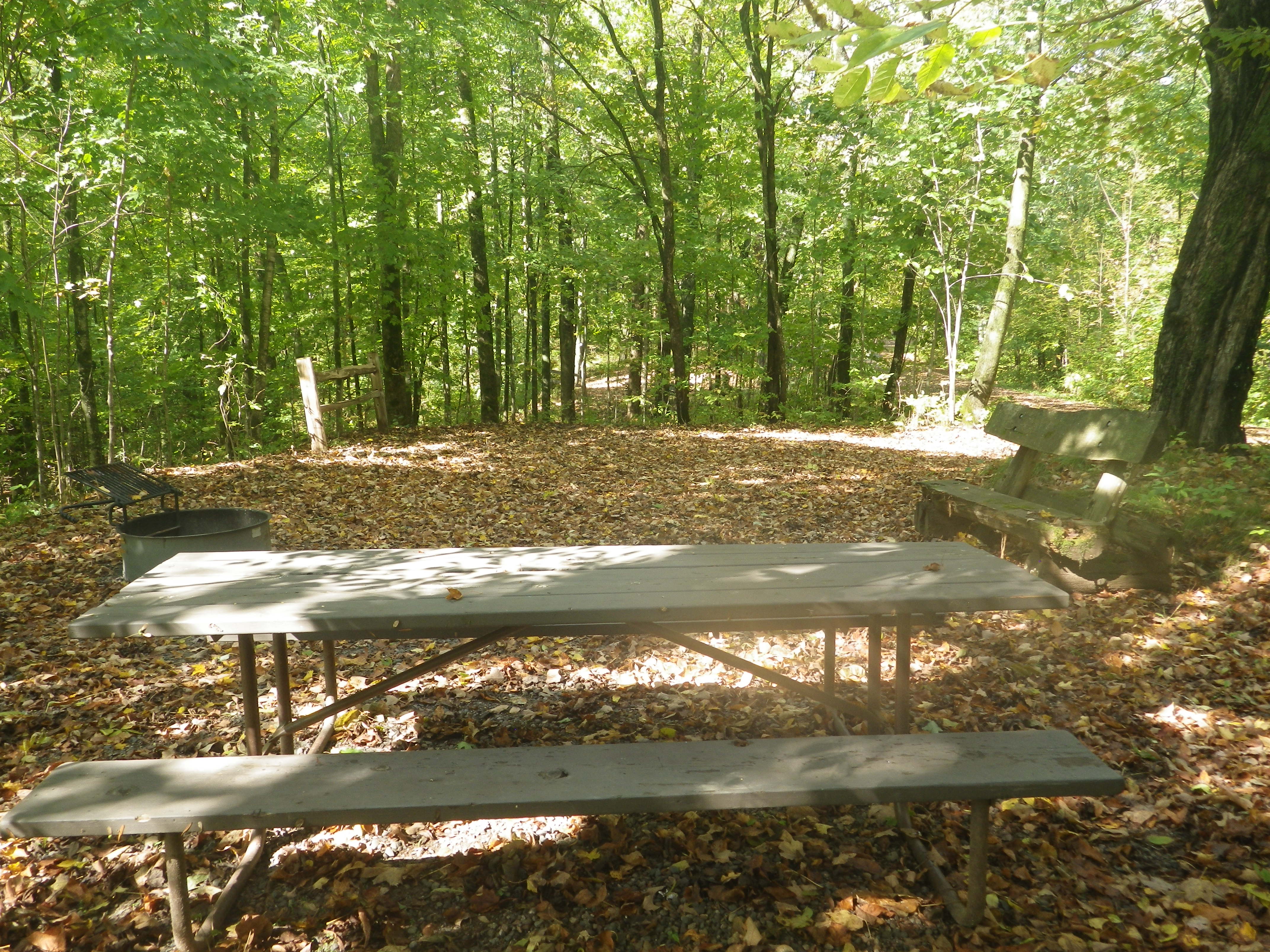 Site 103, photo 3 of 3 · from wisconsin.goingtocamp.com (the park's booking system)