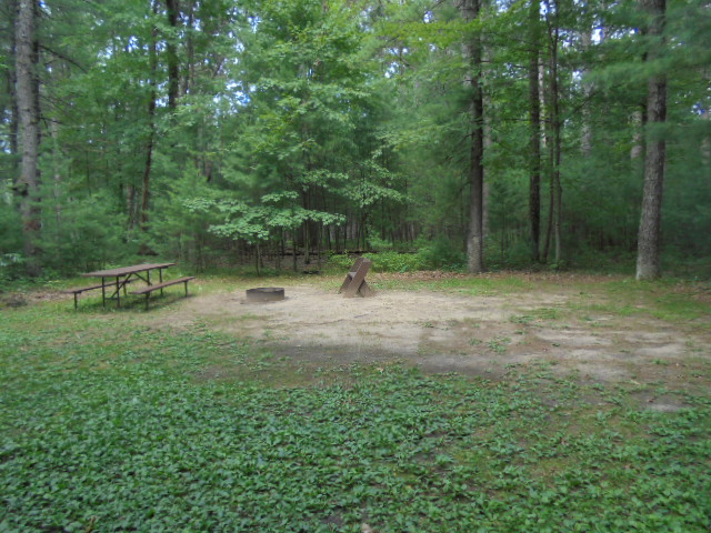 Site 6, photo 2 of 4 · from wisconsin.goingtocamp.com (the park's booking system)