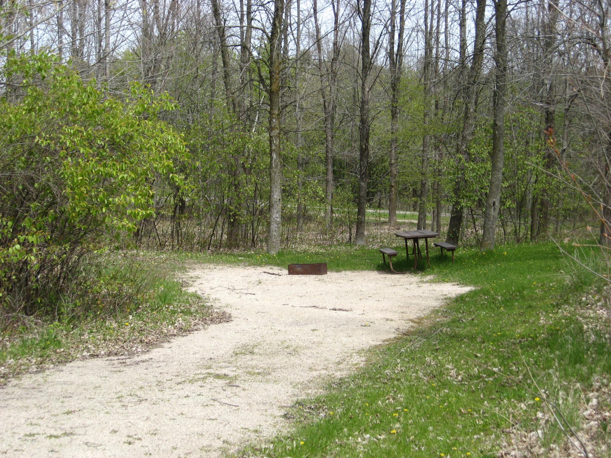 Site 850, photo 2 of 2 · from wisconsin.goingtocamp.com (the park's booking system)