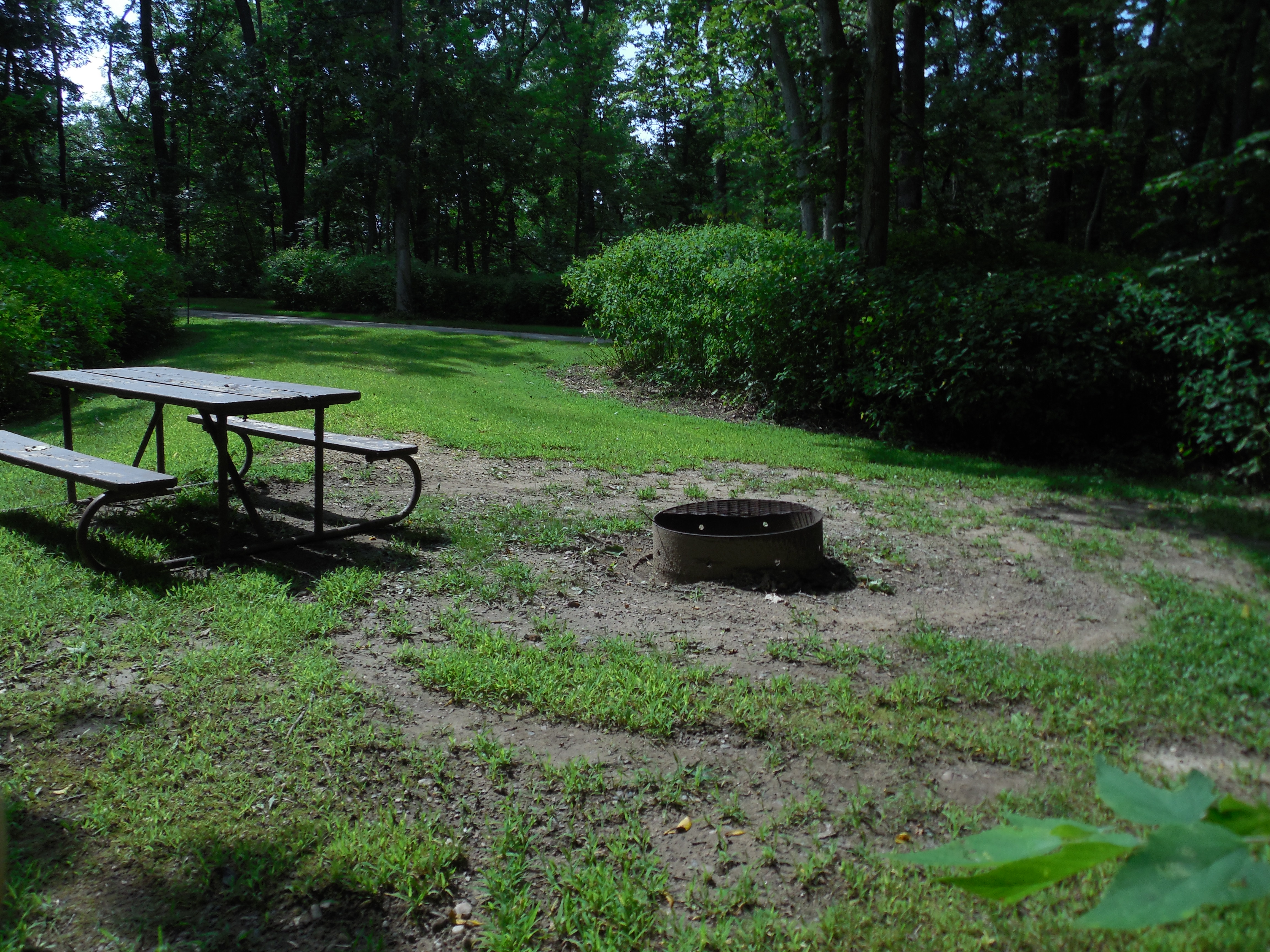 Site 39, photo 3 of 3 · from wisconsin.goingtocamp.com (the park's booking system)
