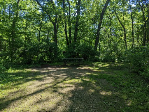 Site 11, photo 3 of 3 · from wisconsin.goingtocamp.com (the park's booking system)