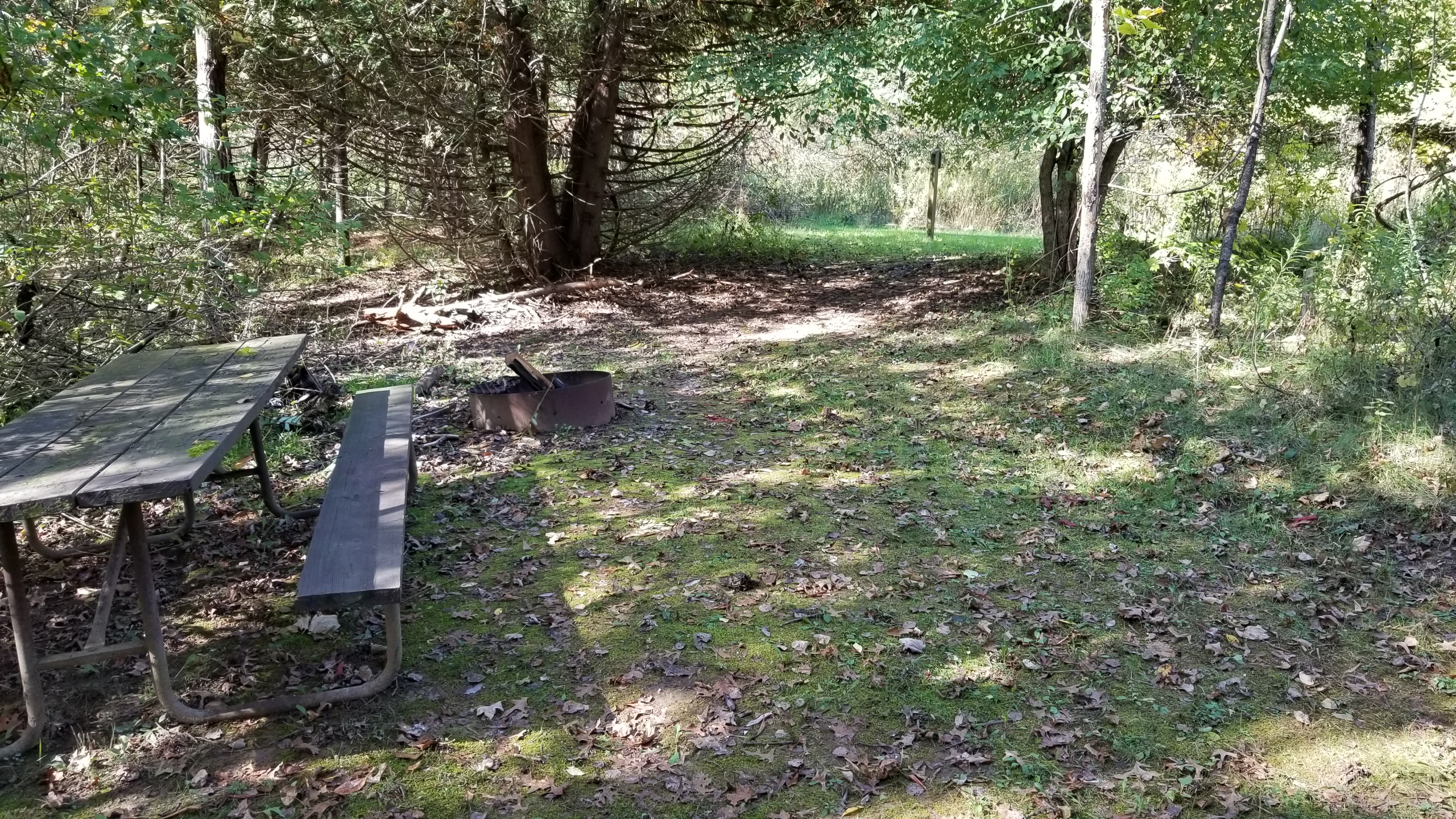 Site 3, photo 2 of 2 · from wisconsin.goingtocamp.com (the park's booking system)