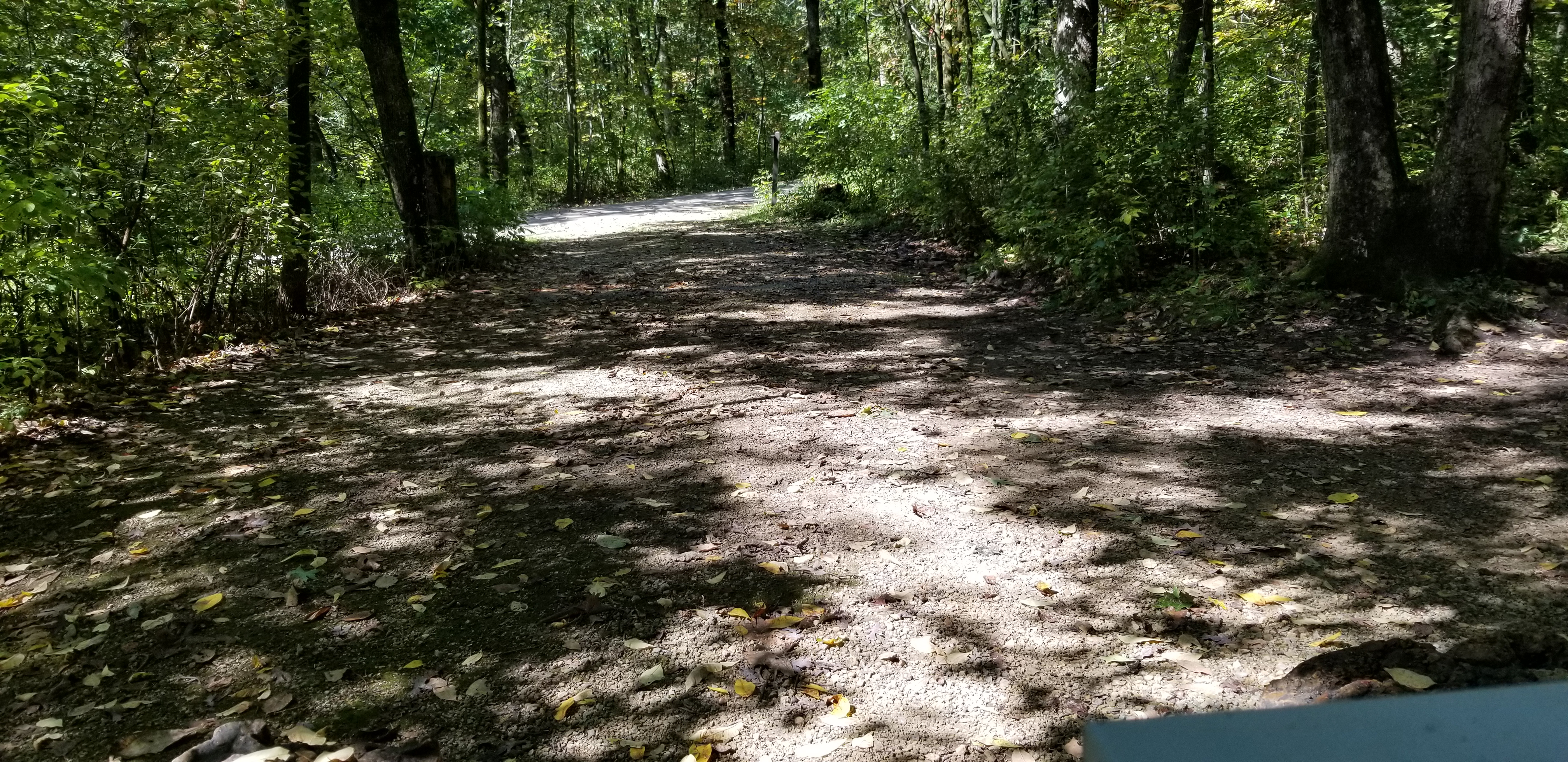 Site 59, photo 2 of 3 · from wisconsin.goingtocamp.com (the park's booking system)