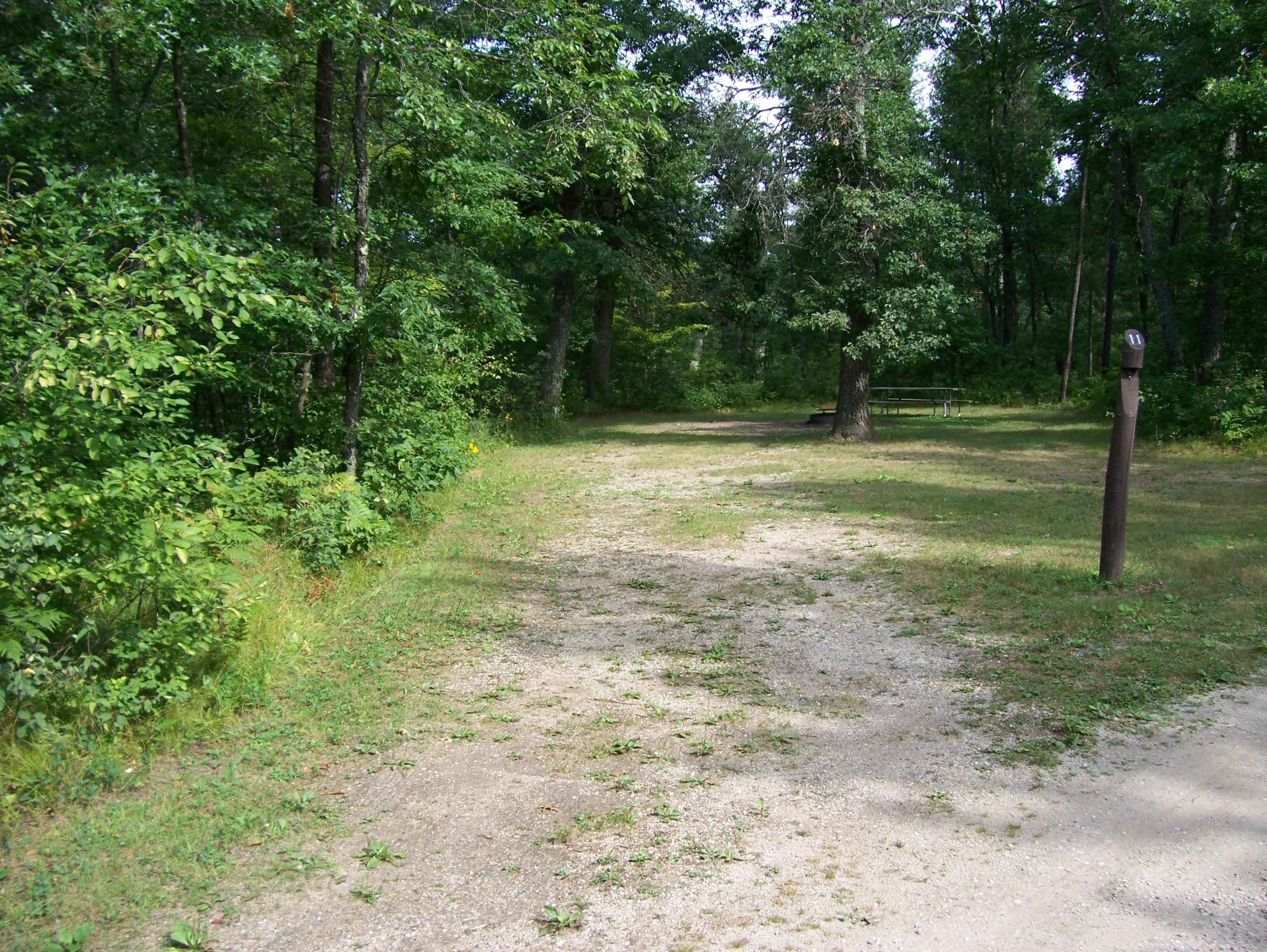 Site 11, photo 2 of 2 · from wisconsin.goingtocamp.com (the park's booking system)