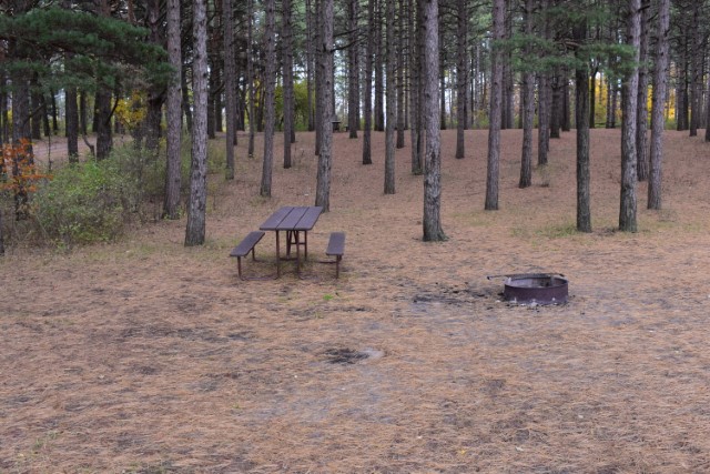 Site 45, photo 2 of 2 · from wisconsin.goingtocamp.com (the park's booking system)