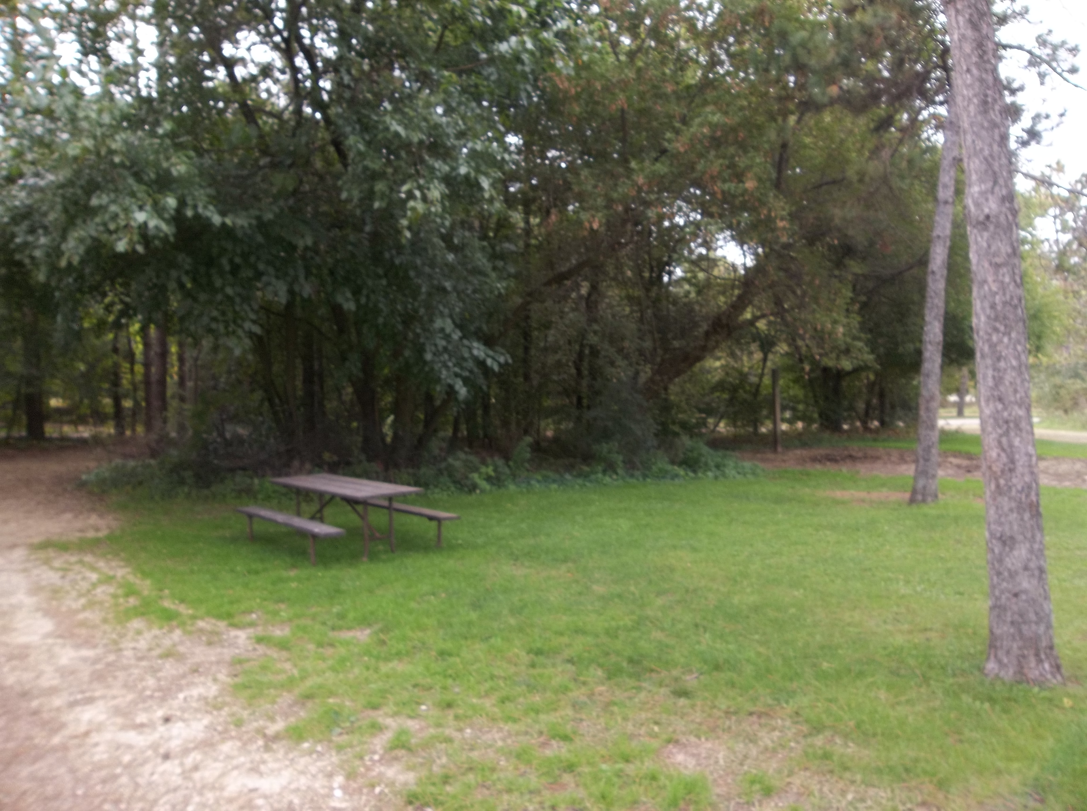 Site 402, photo 2 of 3 · from wisconsin.goingtocamp.com (the park's booking system)
