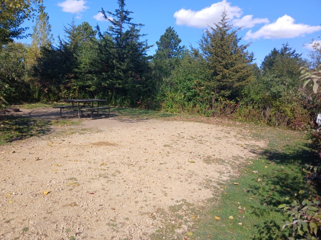 Site 204, photo 2 of 2 · from wisconsin.goingtocamp.com (the park's booking system)
