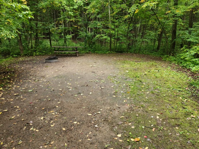 Site 2, photo 3 of 3 · from wisconsin.goingtocamp.com (the park's booking system)