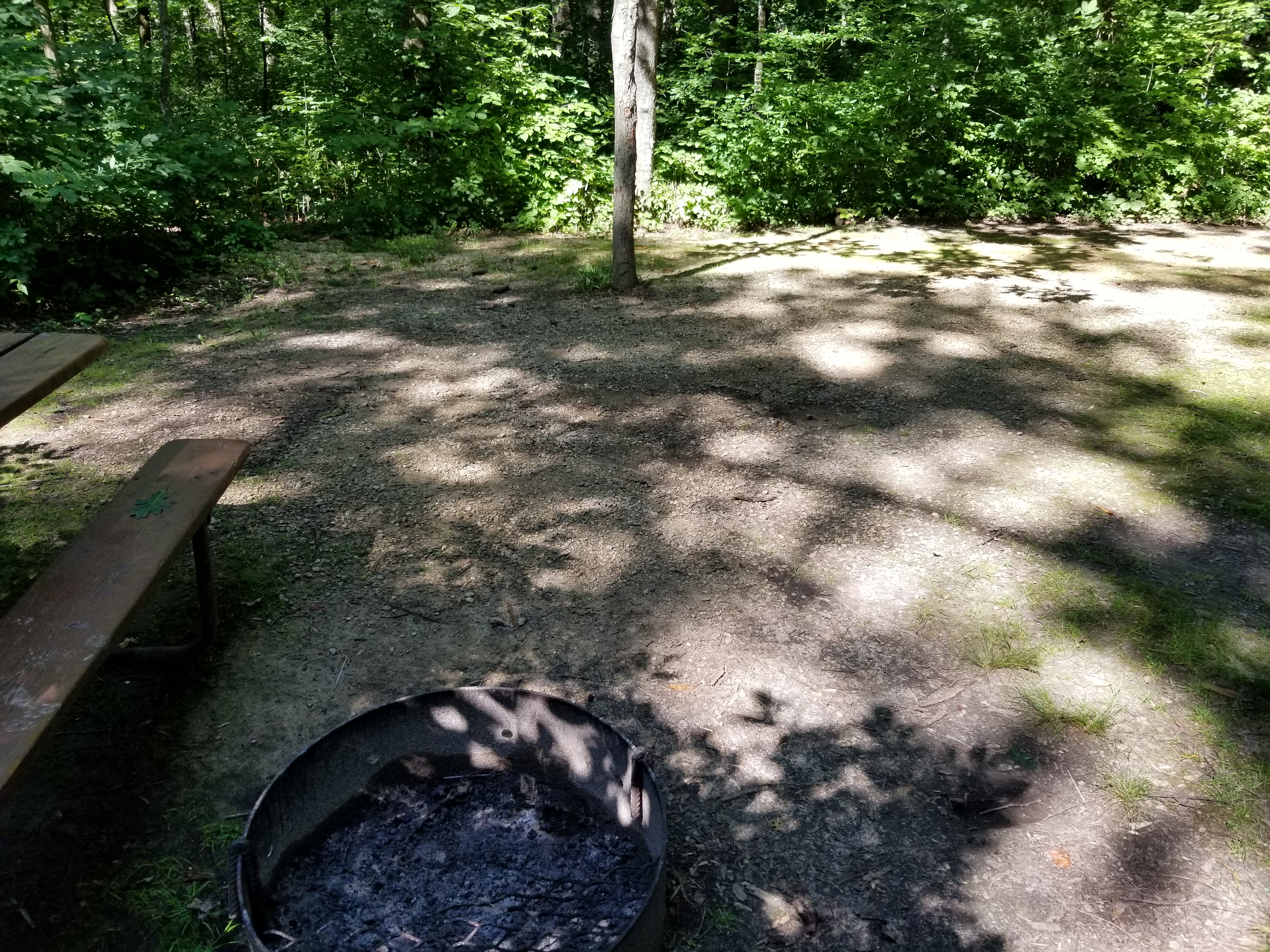 Site 77, photo 3 of 3 · from wisconsin.goingtocamp.com (the park's booking system)