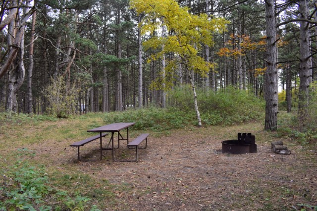 Site 201, photo 3 of 3 · from wisconsin.goingtocamp.com (the park's booking system)