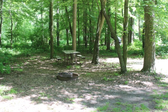 Site 6, photo 2 of 3 · from wisconsin.goingtocamp.com (the park's booking system)