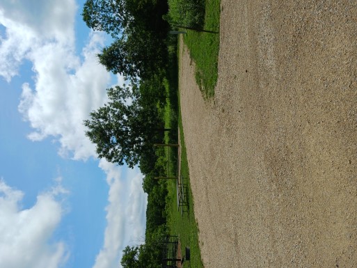 Site 769, photo 2 of 3 · from wisconsin.goingtocamp.com (the park's booking system)