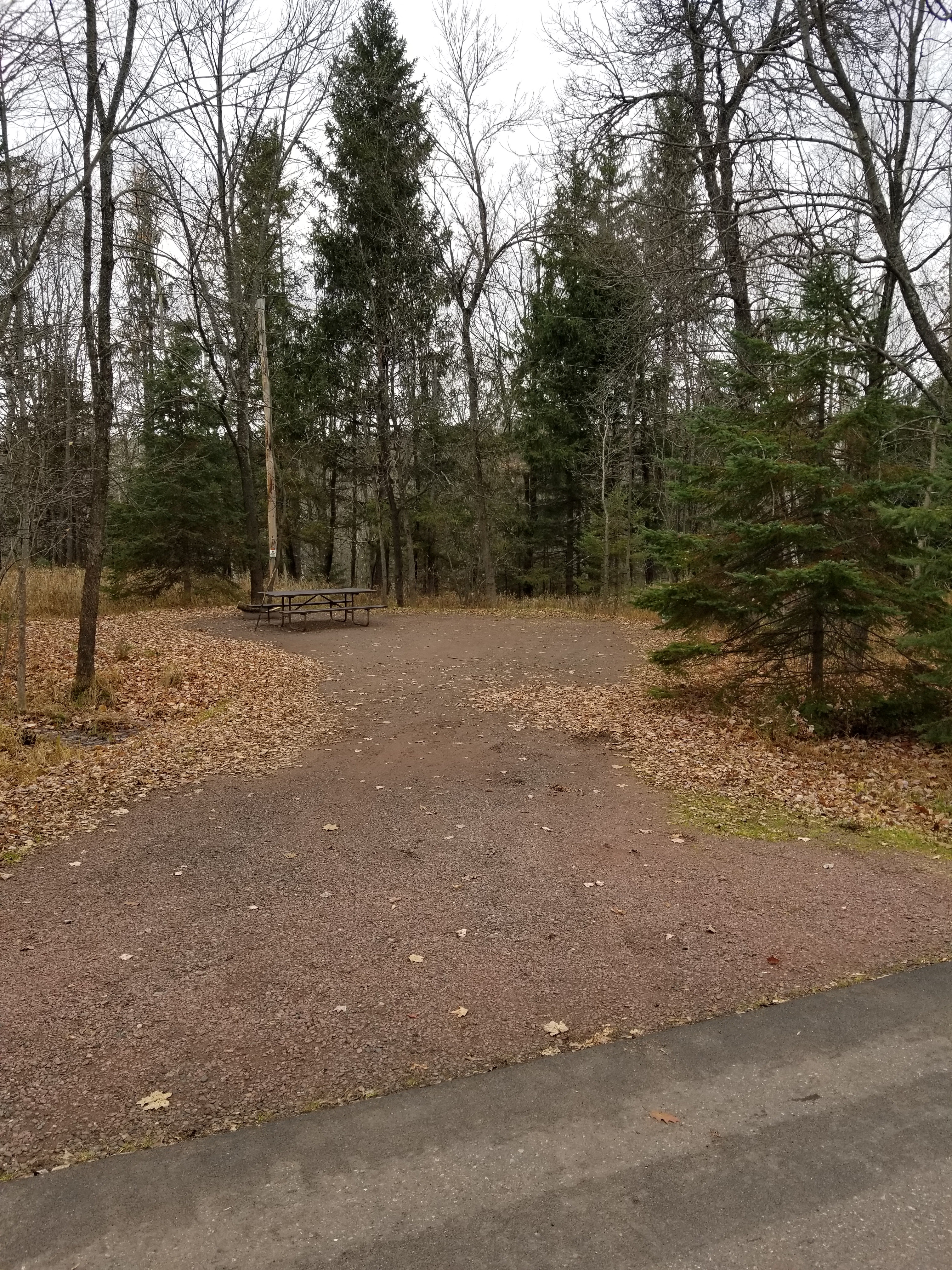 Site 3, photo 2 of 4 · from wisconsin.goingtocamp.com (the park's booking system)