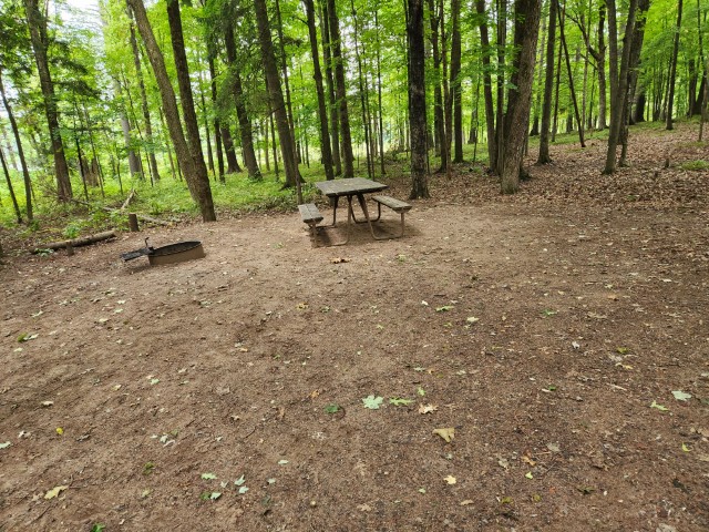 Site 35, photo 3 of 3 · from wisconsin.goingtocamp.com (the park's booking system)